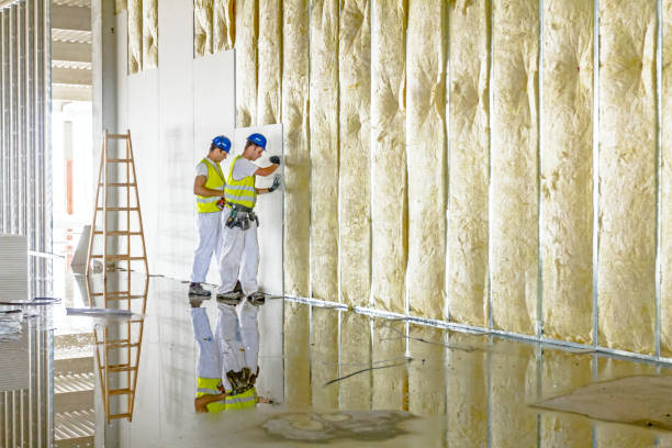 Best Residential Insulation in Wetumka, OK